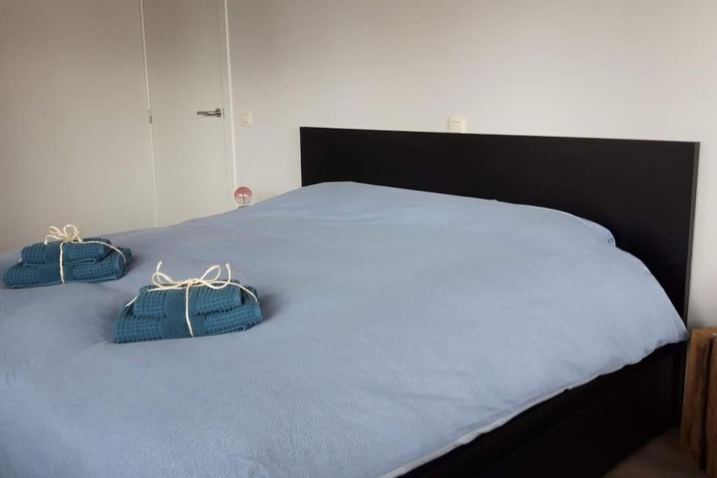 Momaison Charmant Landelijk Appartement Knesselare ภายนอก รูปภาพ